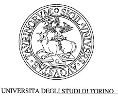 torino university master programs